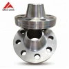 ASME B 16.5 Ti gr2 titanium WN RF Forged flange for oil & gas industry