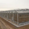 Automated intelligent greenhouse , ecological glass greenhouse, intelligent multi-span greenhouse design
