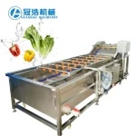 Automatic Air Bubble Washing Apple Chilli Seaweed Cleaning Machine