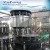 Import Automatic Natural Water Bottling Plant / Mineral Water Filling Line from China