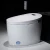 Import Bathroom accessories hotel modern ceramic intelligent toilet floor mounted siphonic smart toilet from China