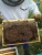 Import Bee Bread Naturally Fermented enzyme Bee Hives honey box for Pollen for amino acid EFSA EU certified from Pakistan