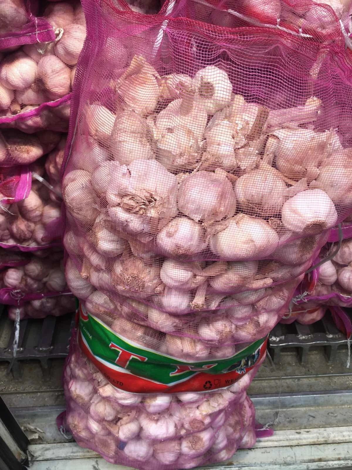 Best Agricultural Export Of Fresh Garlic With Phytosanitary Certificate Used For Cooking From Viet Nam