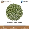 Best Quality Arabica Green Coffee Beans