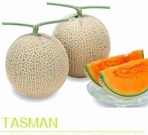 Best Quality  Highness Fresh Price Seed Hybrid Fresh Fruit Melon