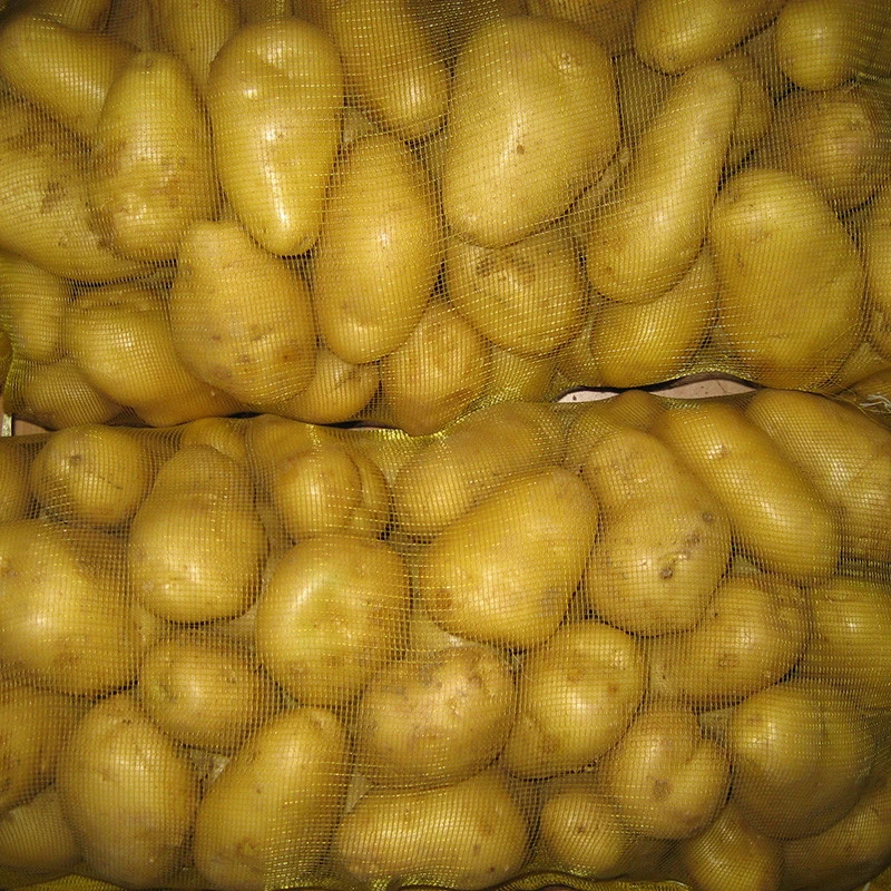 Best Selling Fresh Potato/Fresh  African potatoes