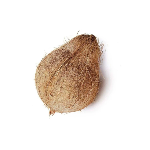 Best Selling Indonesia Semi Husk Coconut For Competitive Rates WhatsApp +6282133797165