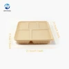 Biodegradable bento pp plastic lunch boxes  plastic bento lunch box 5 compartment