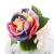 Import Birthday Party Gift Handmade Rainbow Rose Flower Paper Crafts Give Your Best Friend from China