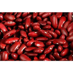 British Dark red kidney beans