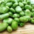 Import Broad Beans high quality dry raw fresh frozen Broad Bean fava bean green iqf whole raw frozen split broad beans vicia from China