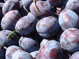 Bulgarian Fresh plums for export