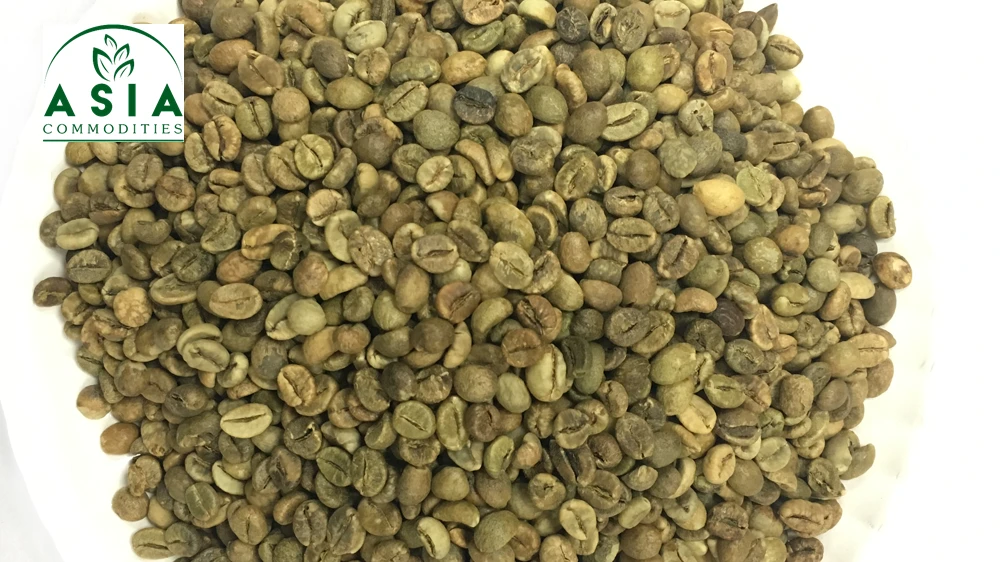 Bulk robusta coffee beans/ Green Coffee Beans/ Coffee Beans in Vietnam