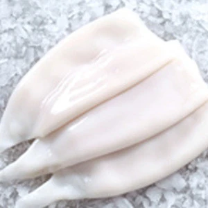 Certified Frozen Illex Squid Under 100g