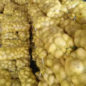Cheap price Healthy organic round shape fresh potato
