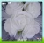 Import Cheerfeel wholesale flowers corsage for childrens clothing from China