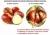 Import Chestnut Bur Sheller for Peeling Outside Shell from China