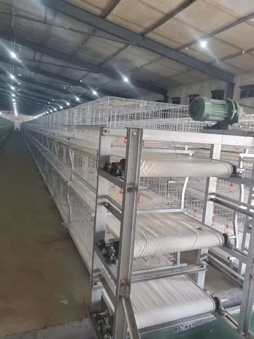 Chicken coop cage automatic farm breeding system