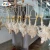 Chicken slaughtering machine/poultry slaughtering equipment/chicken slaughtering production line