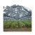 Import CHINA AGROTIME other greenhouse cold frame green house hydroponic agricultural greenhouse / invernaderos from China