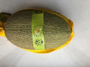 China Hami Melon