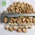 Import Chinese broad beans fava beans for sale babas feve bean from China