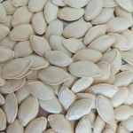 Chinese factory supply organic shine skin pumpkin seeds