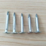 Chinese Supplier Common Galvanized Coil Nail