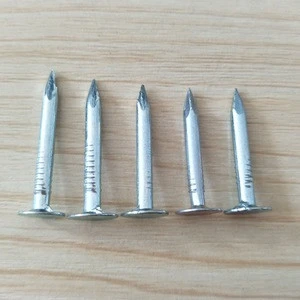 Chinese Supplier Common Galvanized Coil Nail