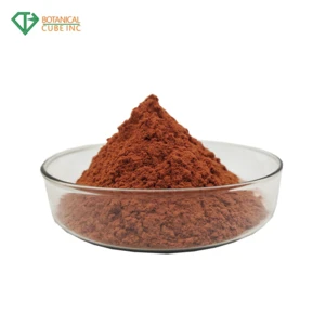 Cinnamon bark extract product specification powder cinnamon powder price