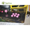 Classical Coin Operated Arcade Boxing Games Machine- 2 Playes Multi-Program Pandoras Box