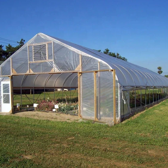 Commercial Plastic Film Tunnel Greenhouse Galvanized Agriculture Transparent Greenhouse Tunnel Garden Greenhouse