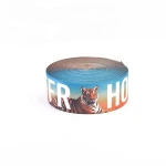 Custom Design Flat Colored Nylon Webbing Strap