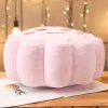 Custom Stuffed Plush Mooncake Cushion With Carton Emotion Face Expression
