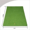 Customized Factory Direct 1x1.25m Golf Training Aid Putting Green Golf Mat