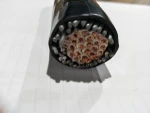 CVV control cable