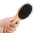 Import Daily Massage Bamboo Comb Hairbrush Bristle Nylon Detangling Hair Brush from China