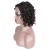 Import Deep Curly Brazilian Short Hair Transparent Lace Front Wigs from China