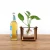 Import Desktop Glass Planter Bulb Vase Retro Solid Wooden Stand and Metal Swivel Holder for Hydroponics Plants Home Garden Wedding Deco from China