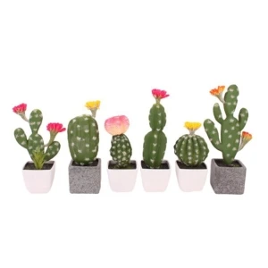 DIY Ornamental Wholesales Plastic Plants Succulents And Cactus Without Pot