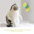 Import Dropshipping Pet supplies Cheap funny cat toys interactive cat toy from China