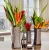 Import Dublin Decorative Vase Set of 3 in Gift Box, Durable Resin Flower Vase Set Decor from China