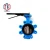 Import Ductile iron cast iron stainless steel carbon steel handle manual operated lug type butterfly valve from China