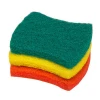 EARTH Brand Custom Shaped Colorful Card Packing Power Cleaning Kitchen Nylon Scourer