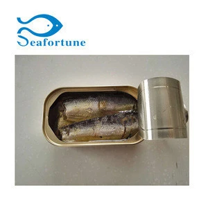 Easy open canned fish sardine in vegetables oil 125g 155g 425g
