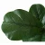 Import Eco-Friendly PEVA 1.0m Fiddle Leaf Fig Tree Artificial Fake Indoor Plants from China