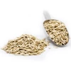 Exporting High Quality Sunflower Seeds,5009 sunflower seeds