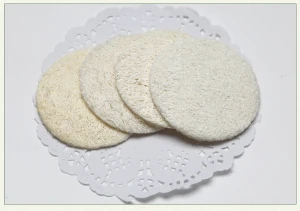 Facial Loofah Pads, 2.36 inches Round Complexion Natural Loofah Facial Discs Exfoliating Facial Loofah Skin Scrub