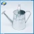 Import Factory Directly Wholesale Gardening Water Can Garden Decoration Watering Cans from China