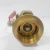 Import Factory high quality Brass 1&#x27;  valve tapped for pressure gauge outlet firefighting equipment test&amp;drain valve from China